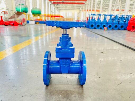 gate valve