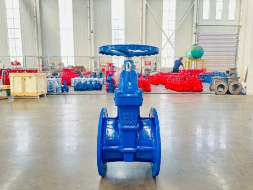 gate valve