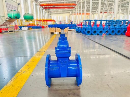 gate valve