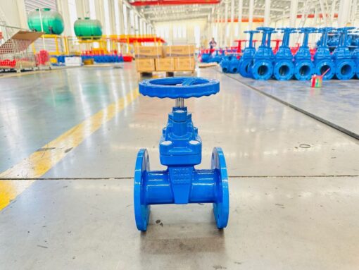 gate valve